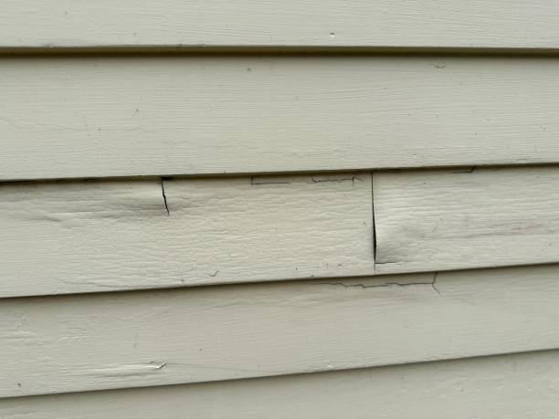 Best Stucco Siding  in Oli, PA